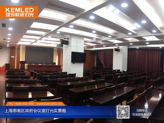 上海惠南区政府视频会议室灯光工程实景图二