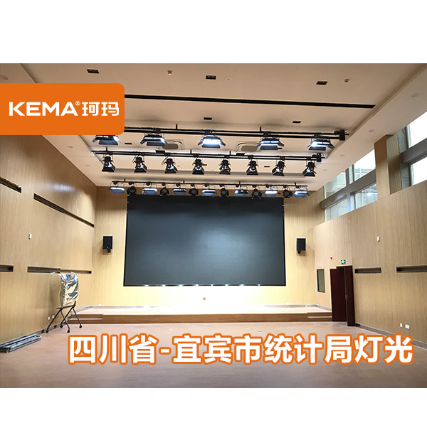 宜宾市统计局会议室灯光改造